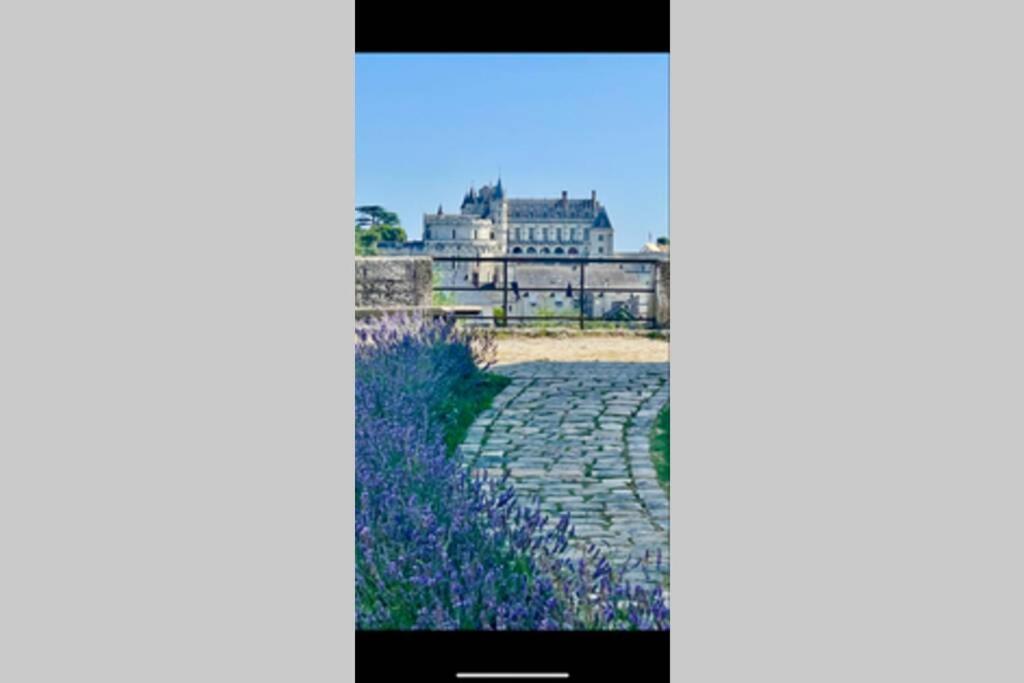Le 17 Entre Gare Et Chateau Amboise Luaran gambar